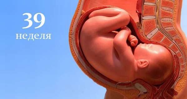 На 39 неделе беременности ребенок уже полностью сформирован и готов ко встрече с мамой