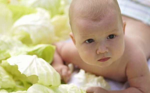 Когда давать ребенку белокочанную капусту