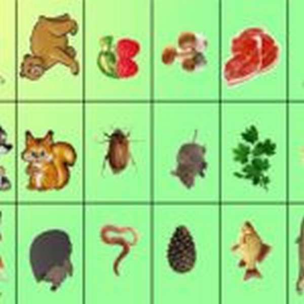 Карточки с изображениями животных и их пищей