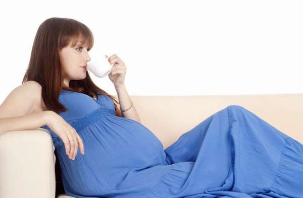 Врачи рекомендуют пить цикорий во время беременности, поскольку он является полезным 