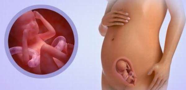 На 20 неделе беременности у беременной женщины могут возникать новые эмоции и чувства, которые связаны с развитием малыша