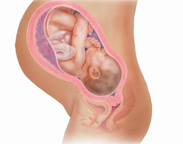 Ребенок на 39 неделе беременности способен реагировать на свет и громкий звук 