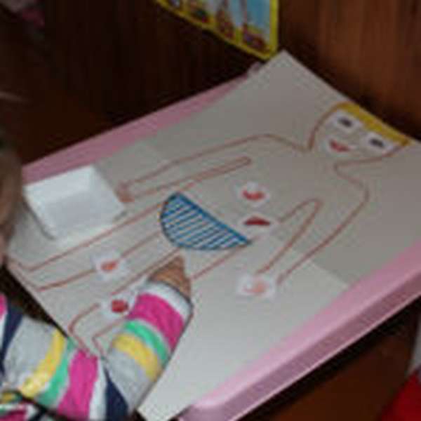 Девочка выкладывает на рисунок тела человека картинки частей тела и органов