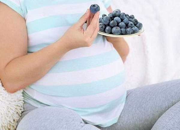 Особой популярностью среди беременных пользуется свежая черника, которая богата полезными витаминами 