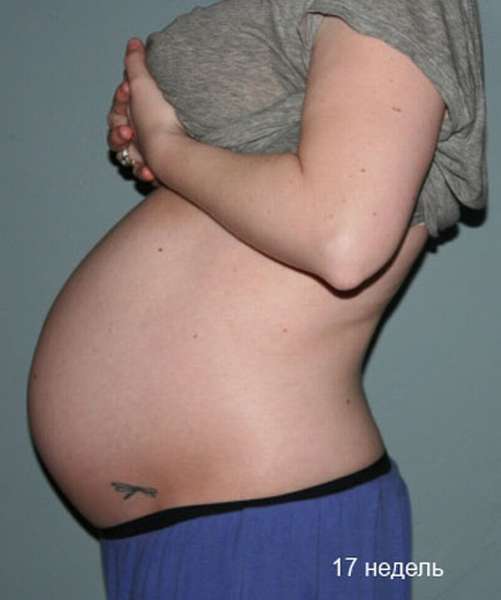 17 неделя беременности – это первая неделя пятого акушерского месяца