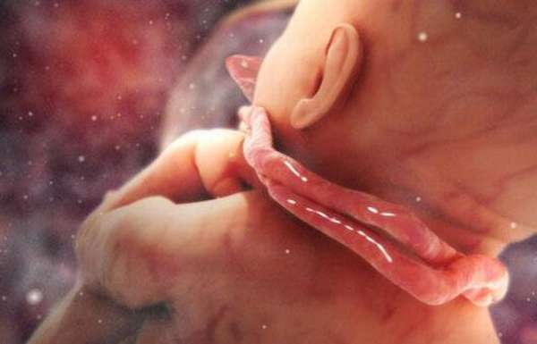 Опасным для малыша в утробе матери является обвитие пуповиной 