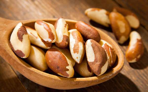Бразильский орех богат аминокислотами